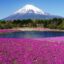Nằm mơ thấy núi Phú Sĩ đánh lô đề con số gì?